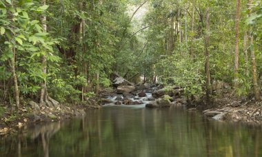 Litchfield Np KADEMELI Nehri