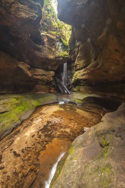 Colliers Causeway Blue Mountains Np küçük şelale featuring
