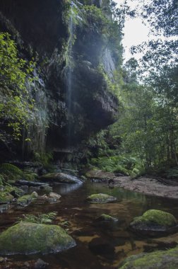 Ulusal parkta şelale