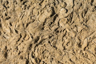 hafif kahverengi taş, doku, arka plan