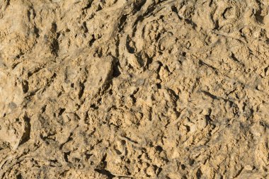 hafif kahverengi taş, doku, arka plan