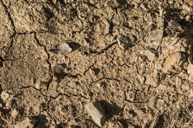 Kuru toprak, doku, arka plan