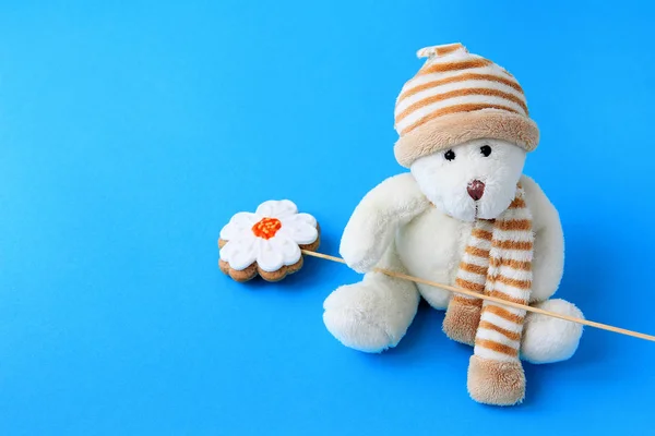 Toy soft bear holds in its paws gingerbread on a stick on a blue pfef the concept of a holiday and congratulations