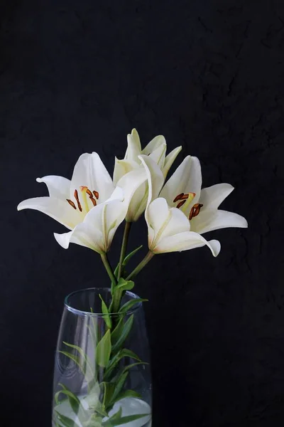 White lily flowers bouquet on black background. Condolence card concept. Close-up, copyspase.