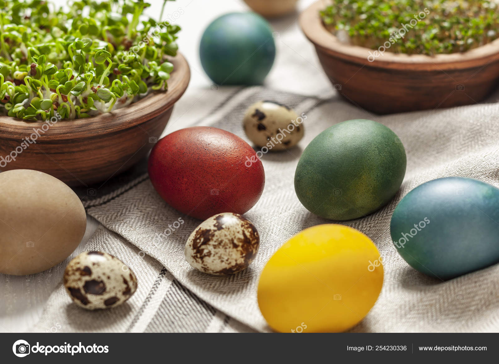 easter egg plant