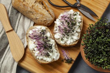 Sandviç süzme peynir ve kırmızı lahana ile lahanası doğrama tahtası üzerinde