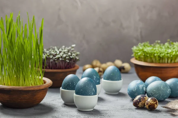 Pasen Samenstelling Eieren Geverfd Blauw Een Rode Kool Kwarteleitjes Pasen — Stockfoto