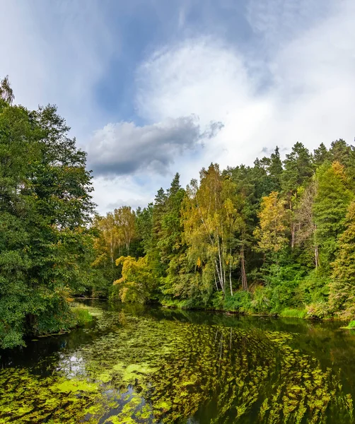 Gyna Älv Alger Och Skog Olsztyn Warmia Mazury Polen Europa — Stockfoto