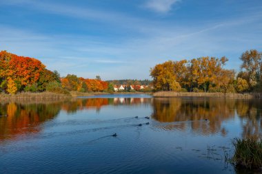 Sonbahar, Olsztyn 'de Uzun Göl - Sıcak ve Mazury, Polonya, Avrupa