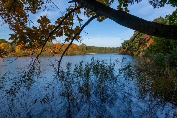 Otoño Lago Dugie Olsztyn Warmia Masuria Polonia Europa —  Fotos de Stock