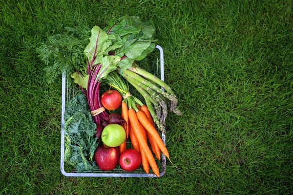 Légumes bio. Ingrédients verts et sains de l'alimentation . — Photo