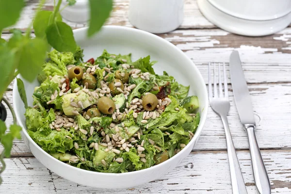 Ensalada verde con aceitunas, tomates secados al sol, semillas de girasol servidas con una salsa a base de aceite y hierbas . —  Fotos de Stock