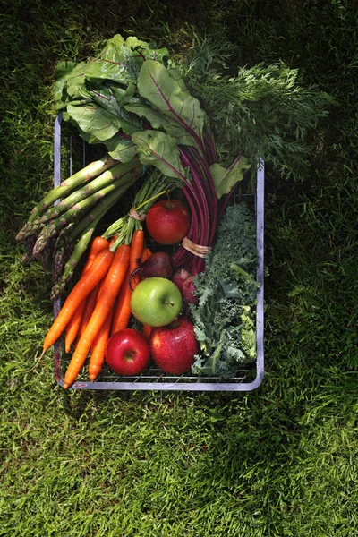 Alimentation écologique naturelle. Légumes directement du jardin . — Photo