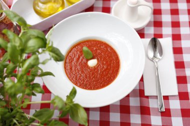 Fesleğen ve kremalı domates çorbası. Olgun domates kreması ve şifalı otlar. Bir tabak servis etmeyi öneriyorum. Gıda arkaplanı.