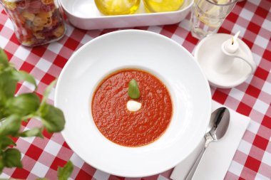 Fesleğen ve kremalı domates çorbası. Olgun domates kreması ve şifalı otlar. Bir tabak servis etmeyi öneriyorum. Gıda arkaplanı.