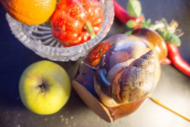 Kabak apple ve Mandarin ile toprak kap büyük salyangoz bir kristal vazo görünür