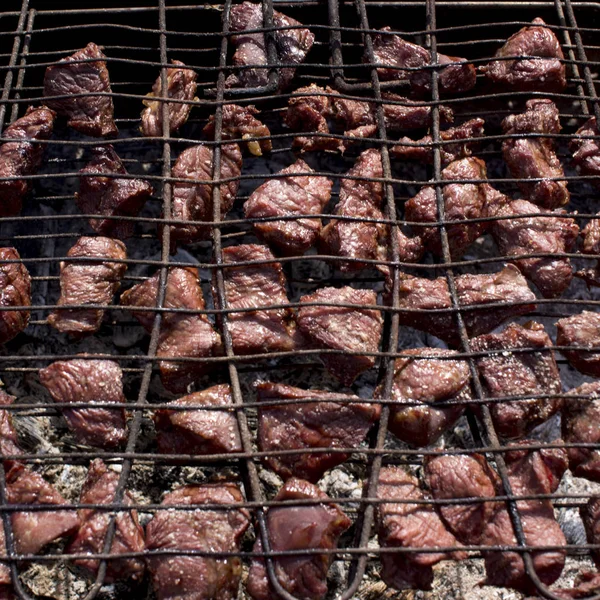 A carne é frita na grelha sobre as brasas — Fotografia de Stock