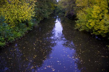 şehirde parkta smal göl.