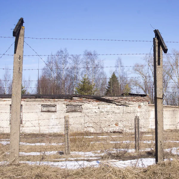 protection fence with barbed wire