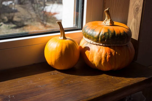 Orangefarbenes Foto mit Kürbissen vor dem Fenster — Stockfoto