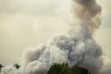 Şiddetli yangınlardan yükselen yoğun beyaz duman, duman arka planı, kıvrık beyaz duman arka planı.