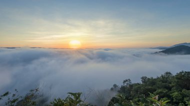  Sabahları sisli manzara, sis ve bulut vadisi manzarası, göldeki ormanda sabah sisi..