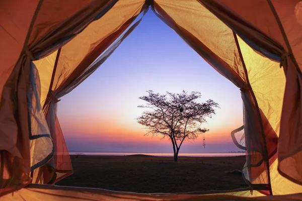 游客们在湖上休息一下 在平静的水面上和阳光普照的天空背景下 把露营的海岸铺在树下 — 图库照片