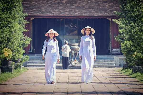 Dai Klasiği Olan Güzel Bir Kadın Vietnam Kültürü Geleneksel Elbisesi — Stok fotoğraf