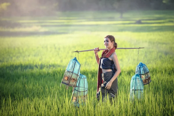 Young Farmers Grow Rice Rainy Season Rice Field Researchers Examined — Stock Photo, Image