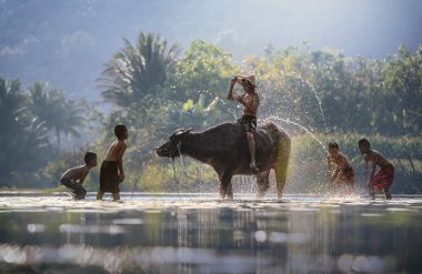 Çocuklar nehirde bizonlarla oynuyor..