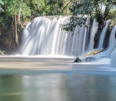  Ormanla çevrili bir şelale. Şelale nehri