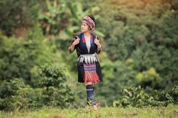 Hill Tribe Coffee Plantation Akha Woman Plocka Rött Kaffe Bukett — Stockfoto