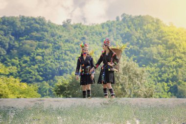 Güzel kostüm giymiş kabile, güzel kabile kızı, gün batımında dağdaki kabileler, güzel kostüm giymiş kabile, geleneksel üniformalı kabile, geleneksel kabile kültürü..