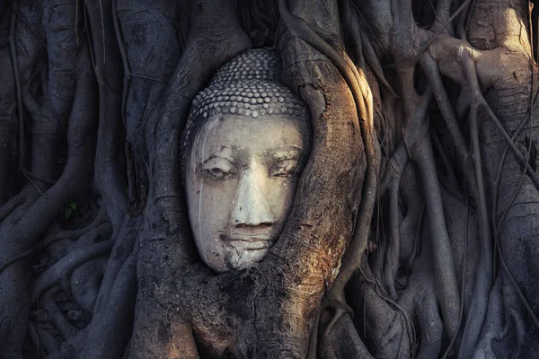 Boeddha Hoofd Boeddha Standbeeld Boeddhisme Tempel Thailand Tempel Oriëntatiepunt Van — Stockfoto