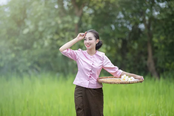 Agricultores Ásia Cuidar Qualidade Arroz Campo Bem Como Colheita Dos — Fotografia de Stock