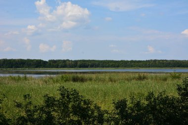 2018 yazında Shatsk gölleri
