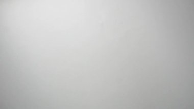 Beyaz kız altı fırça attı.