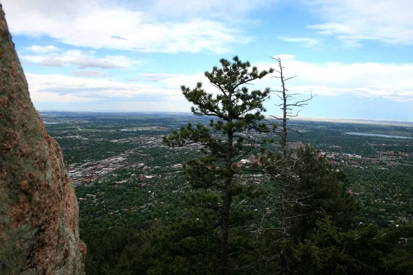 Vista Das Montanhas Rochosas Denver Primeiro Plano Uma Árvore Nas — Fotografia de Stock