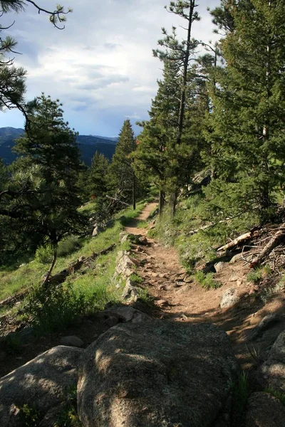 Trail Mountains Rocky Sides Path Tall Pines Side Path Precipice — Stock Photo, Image