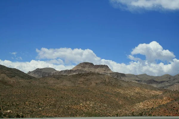 灰色の山ネバダと砂漠の植物 — ストック写真