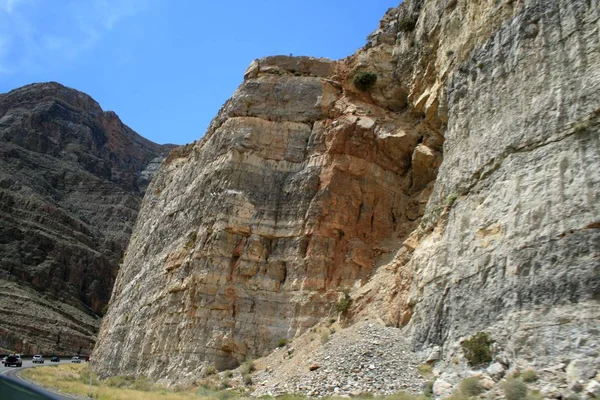 Estados Unidos Montañas Grises Nevada Planta Del Desierto — Foto de Stock