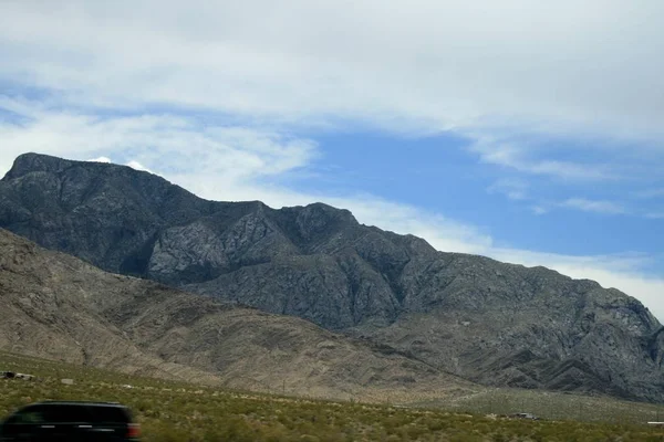 Eua Montanhas Cinzentas Nevada Planta Deserto — Fotografia de Stock