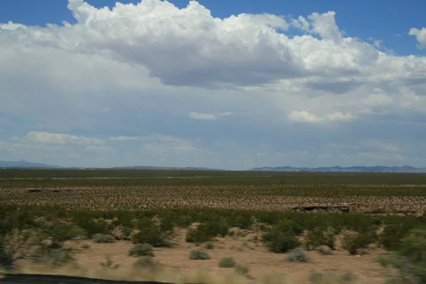 ネバダ砂漠植物の砂漠風景 — ストック写真