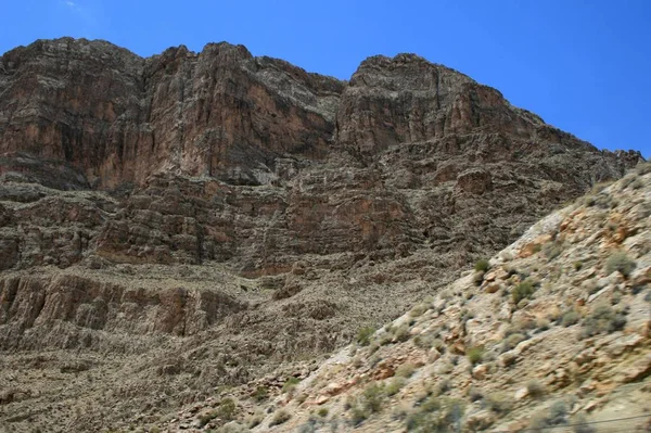 Eua Montanhas Cinzentas Nevada Planta Deserto — Fotografia de Stock