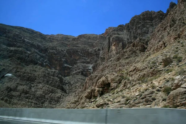 Stati Uniti Montagne Grigie Nevada Piante Del Deserto — Foto Stock