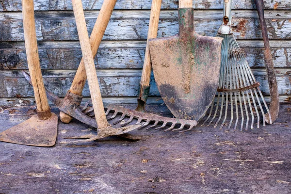 Tahta duvarın önünde kullanılmış kürek ve kazma. Çiftçi aletleri kavramı. 
