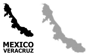 Vektör Halftone Deseni ve Veracruz Eyaleti Katı Haritası