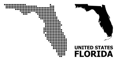 Florida Eyaleti Pikselli Mozaik Haritası