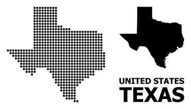 Texas State Pikselli Mozaik Haritası