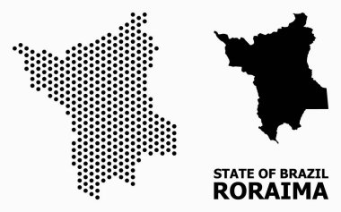 Pixelated Mosaic Map of Roraima State clipart